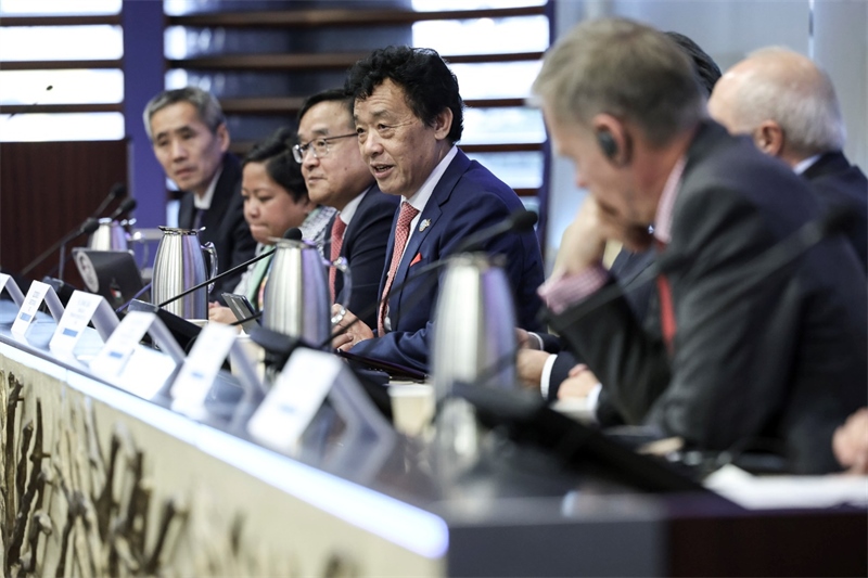 來自聯(lián)合國糧農(nóng)機構(gòu)及各國代表與會并發(fā)言。主辦方供圖