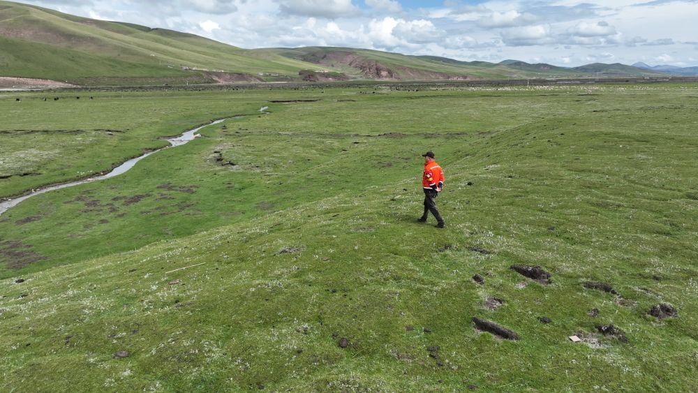 9月24日，生態(tài)管護(hù)員那瓦才郎在草場(chǎng)上巡護(hù)。（受訪者供圖）
