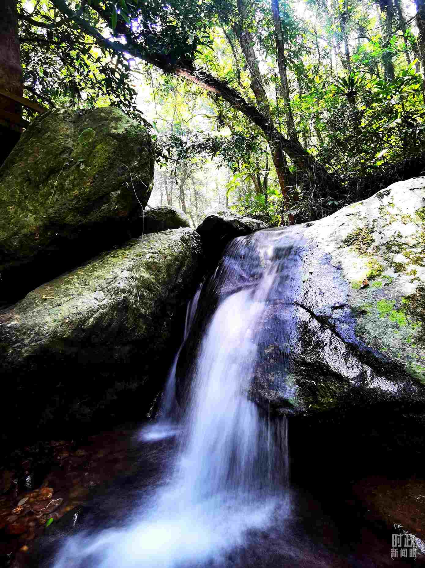 海南五指山。（總臺央視記者劉琦拍攝）
