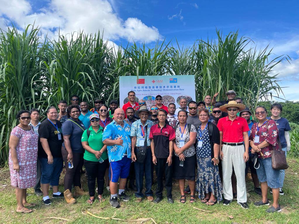 2024年2月28日，來(lái)自巴布亞新幾內(nèi)亞、湯加、庫(kù)克群島、薩摩亞、瑙魯?shù)葒?guó)家的“太平洋島國(guó)菌草技術(shù)培訓(xùn)班”學(xué)員在斐濟(jì)布拉阿格魯菌草技術(shù)示范基地合影。新華社發(fā)（中國(guó)援斐濟(jì)菌草技術(shù)示范中心供圖）