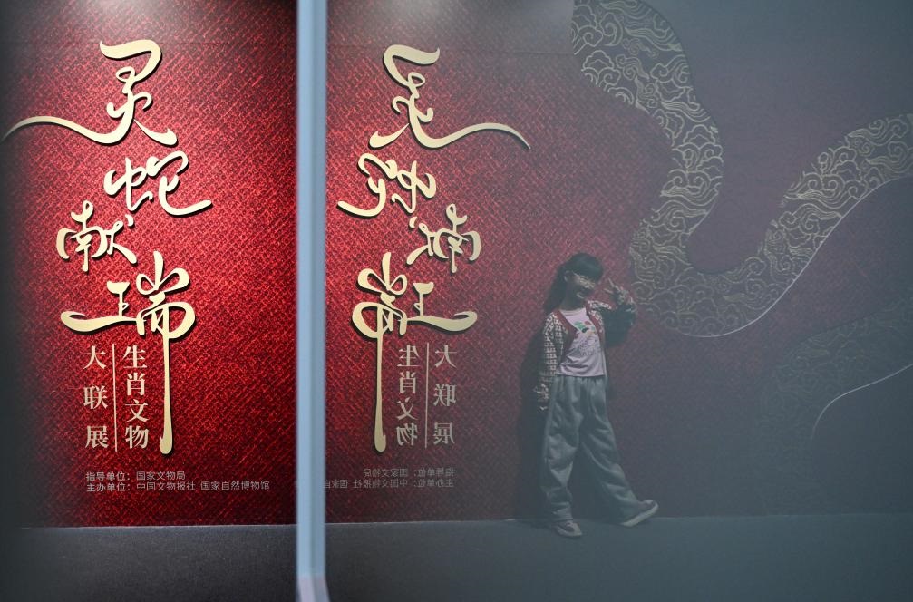 1月18日，一名小朋友在國(guó)家自然博物館舉辦的“靈蛇獻(xiàn)瑞——2025乙巳蛇年生肖文物大聯(lián)展”展覽中拍照留念。（新華社記者 陳鐘昊 攝）