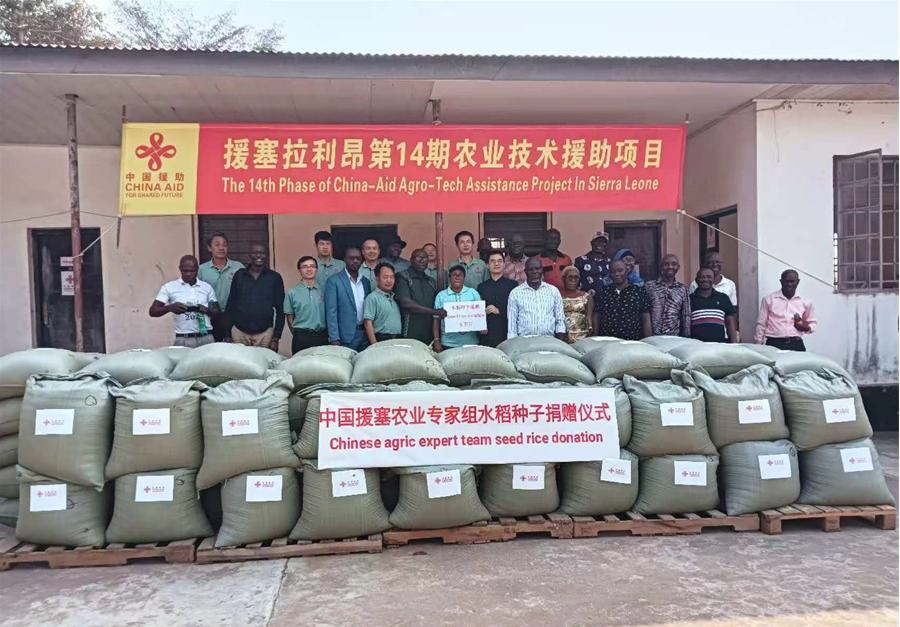 中國援塞拉利昂農(nóng)業(yè)專家組在塞南方省博城舉辦水稻種子捐贈儀式。中國援塞農(nóng)業(yè)專家組供圖
