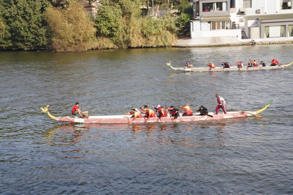 活動現(xiàn)場龍舟競技，共慶春節(jié)。開羅中國文化中心供圖