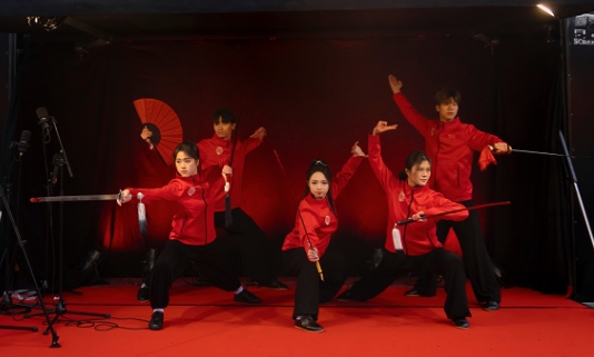 武術(shù)表演。中國駐芬蘭大使館供圖