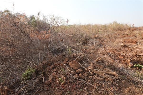 施工現(xiàn)場(chǎng)。張曉昆攝