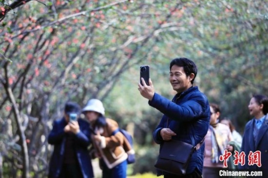 成都:海棠花開(kāi)引游人