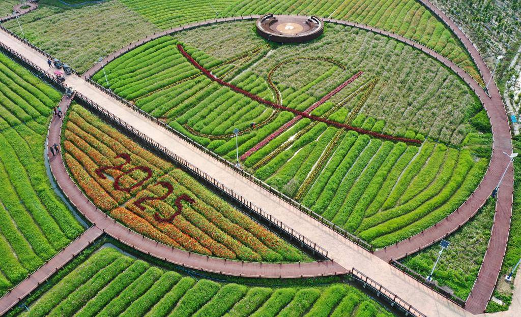 這是3月21日拍攝的瓊海博鰲南強(qiáng)村景色（無人機(jī)照片）。新華社記者 郭程 攝