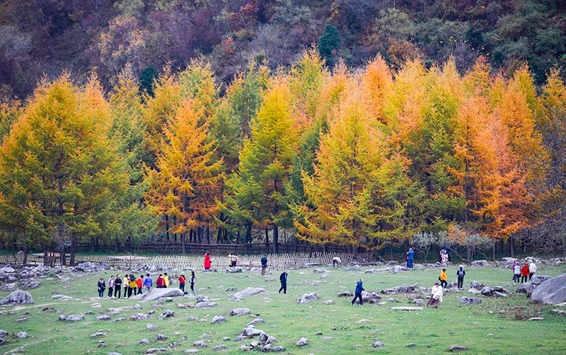 2023年10月27日，深秋時節(jié)的陜西秦嶺太子嶺五彩斑斕，進入最佳觀賞期。