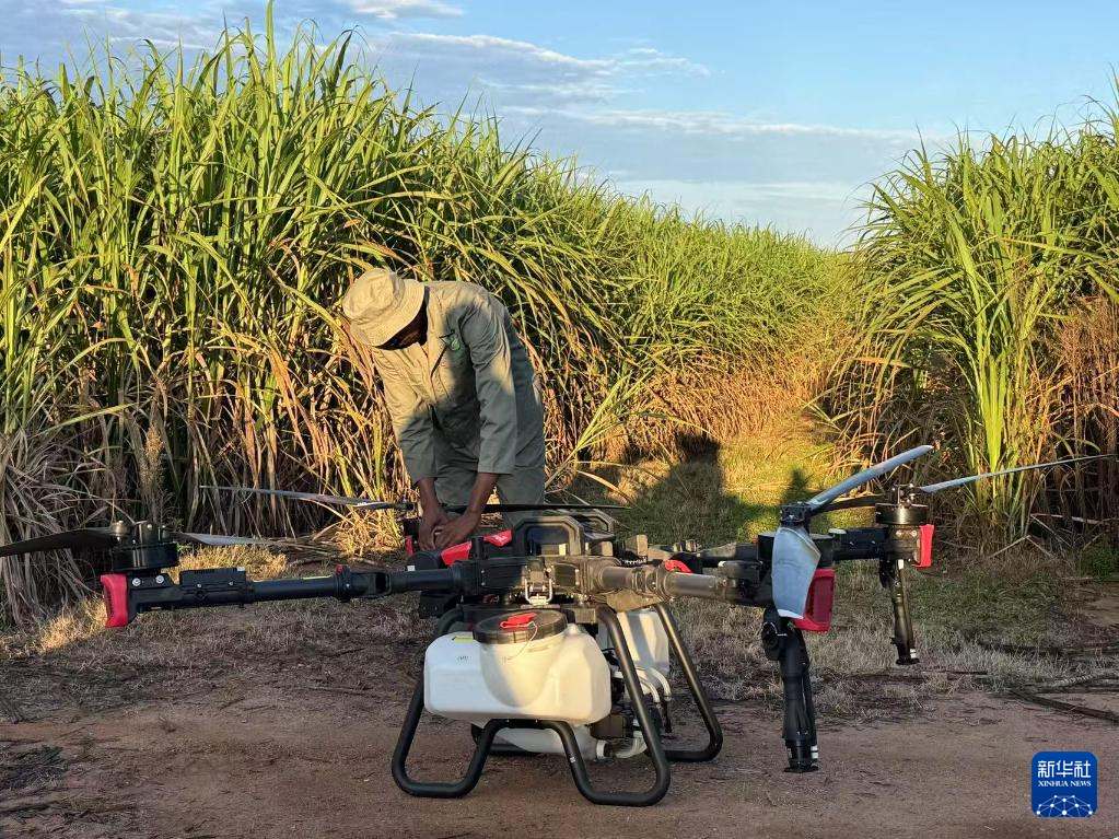 3月25日，在南非夸祖魯-納塔爾省的方廷希爾莊園，工作人員為無(wú)人機(jī)做起飛作業(yè)前的準(zhǔn)備。新華社記者 白舸 攝