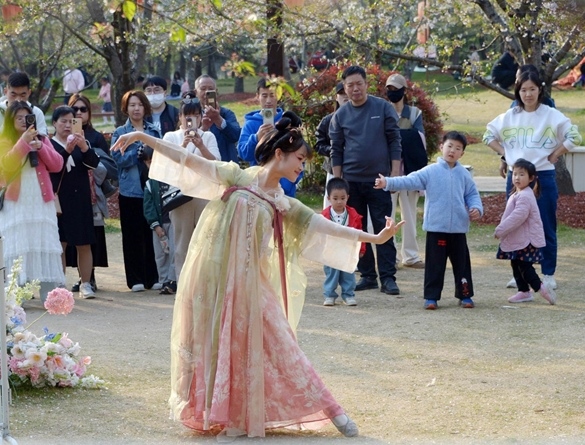 清明假期期間，上海顧村公園櫻花島上，游客在觀賞國風(fēng)漢服快閃表演。（圖片來源：視覺中國）