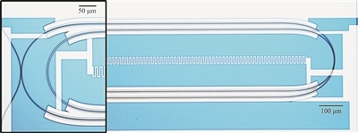 微波光量子傳感器的光學(xué)顯微照片。圖片來源：美國(guó)哈佛大學(xué)