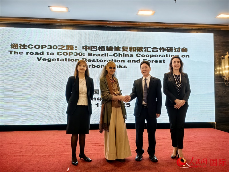 中國國家林業(yè)和草原局副局長李云卿（右二）、巴西環(huán)境和氣候變化部部長瑪麗娜·席爾瓦（左二）、巴西財(cái)政部副部長羅熙丹（右一）、巴西駐華大使館公參樂美（左一）出席“通往COP30之路：中巴植樹造林和碳匯合作研討活動”。人民網(wǎng)記者 符園園攝