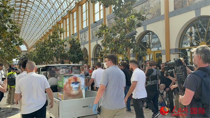 圖為活動現(xiàn)場。人民網(wǎng)記者 牛瑞飛攝