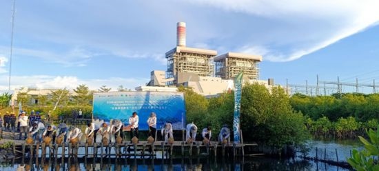 5月18日，中印尼嘉賓在爪哇7號燃煤電站舉行紅樹林補植儀式。記者 曹凱 攝